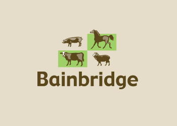 bainbridge